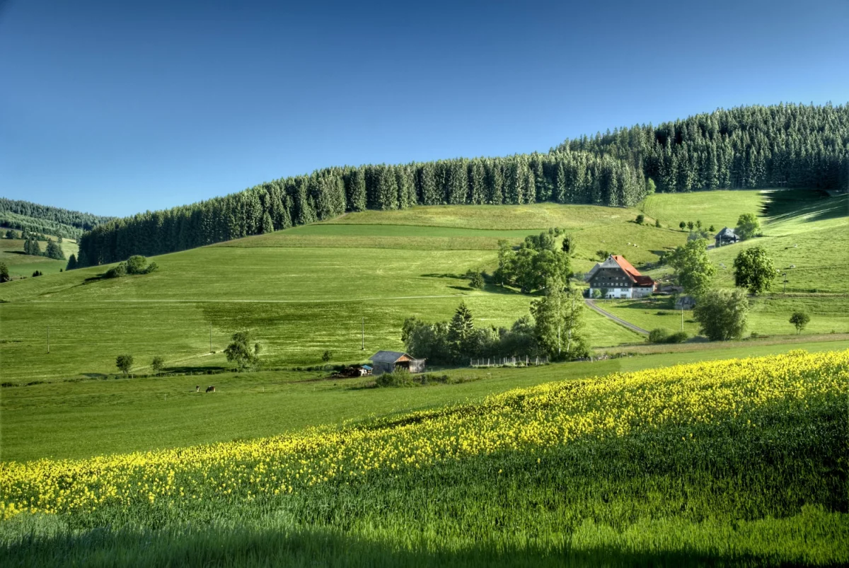 7 niezbędnych wyrobów z paracordu na wyprawę turystyczną